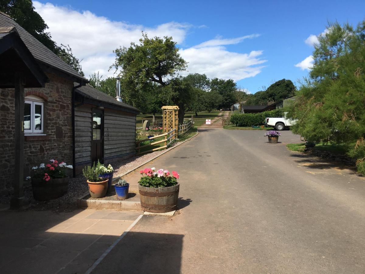 Grove Farm B&B Лиоминстър Екстериор снимка