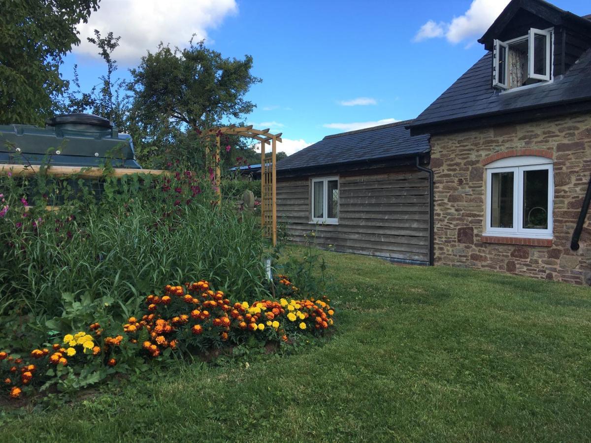 Grove Farm B&B Лиоминстър Екстериор снимка